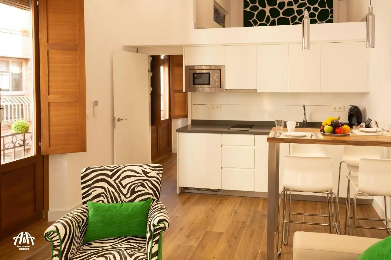 Aia Loft Bibrambla Apartment Granada