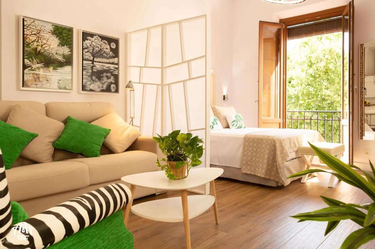 Aia Loft Bibrambla Apartment Granada