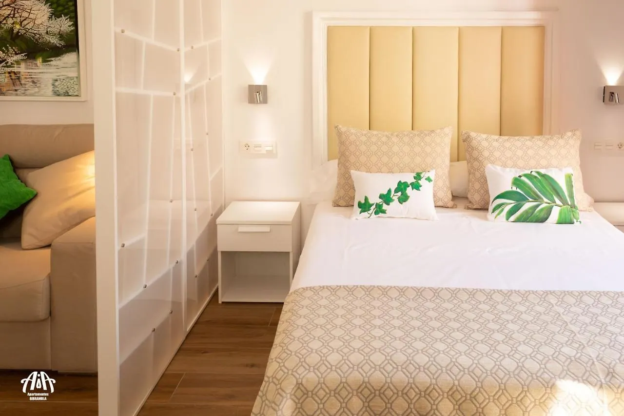 Aia Loft Bibrambla Apartment Granada Spain