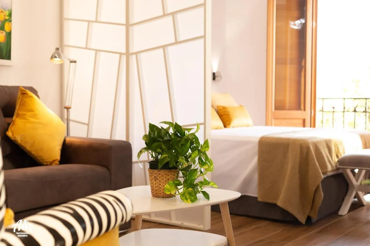Aia Loft Bibrambla Apartment Granada Spain
