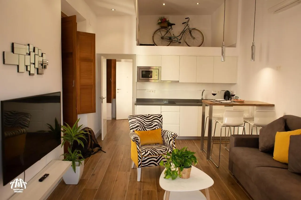 Aia Loft Bibrambla Apartment Granada
