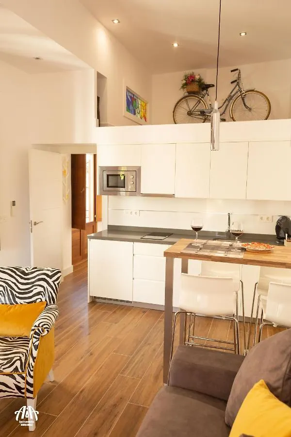 Aia Loft Bibrambla Apartment Granada