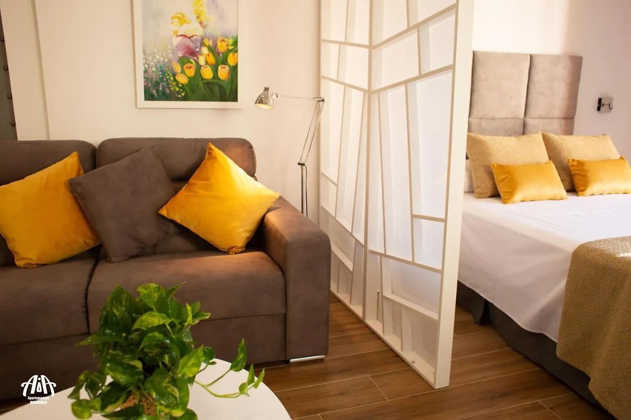 Aia Loft Bibrambla Apartment Granada