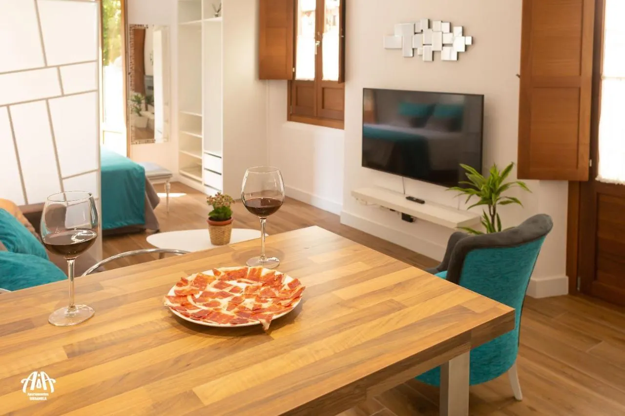 Appartement Aia Loft Bibrambla à Grenade Espagne