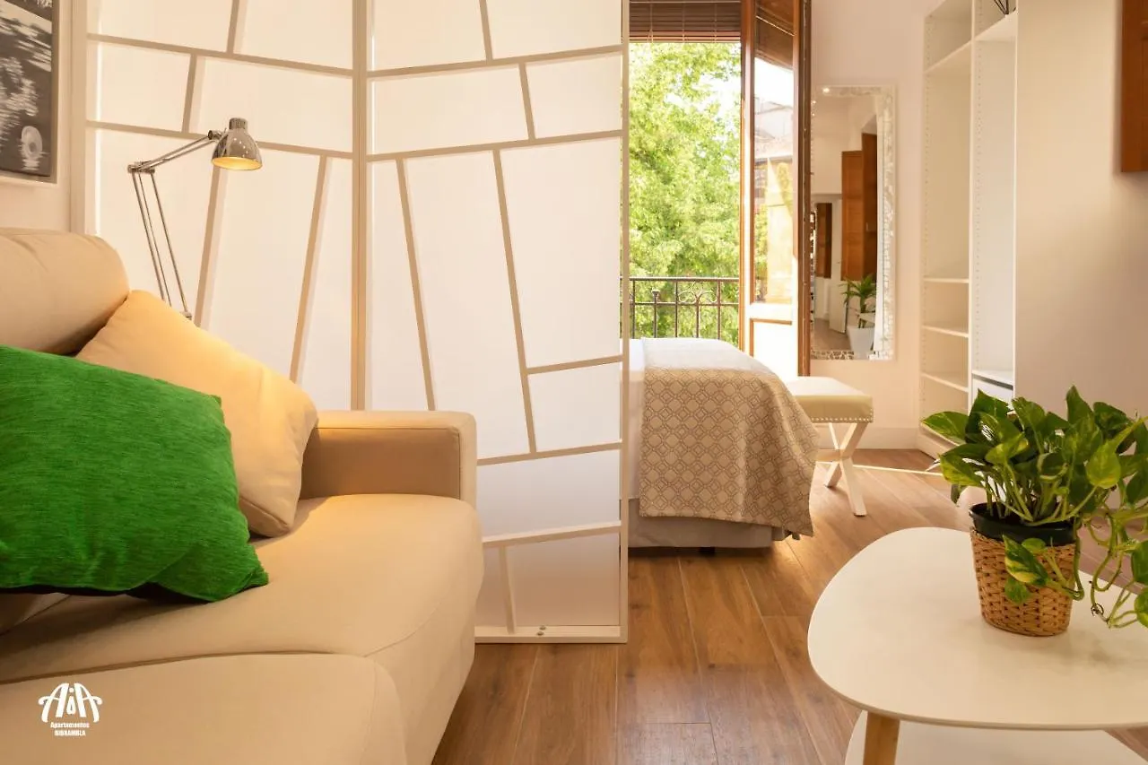 Appartement Aia Loft Bibrambla à Grenade