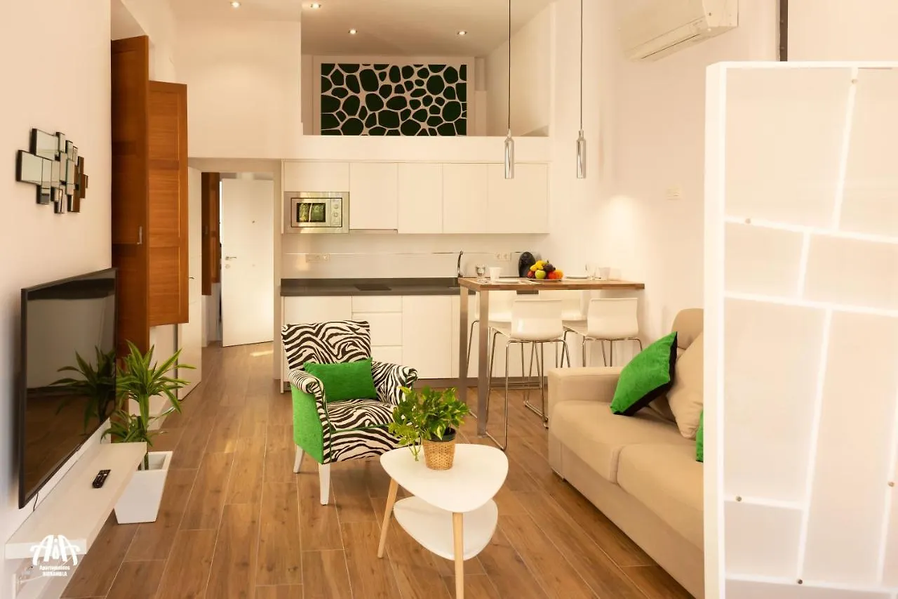 Appartement Aia Loft Bibrambla à Grenade 0*,