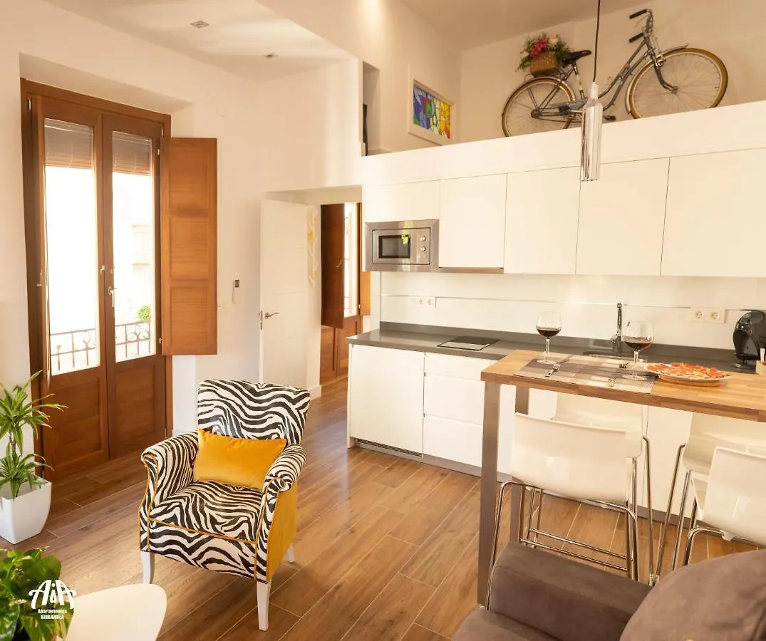 Aia Loft Bibrambla Apartment Granada Spain