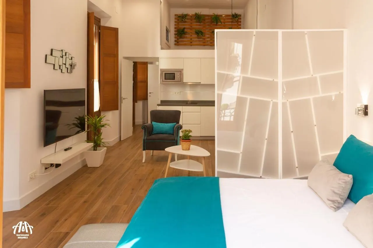 Aia Loft Bibrambla Apartment Granada