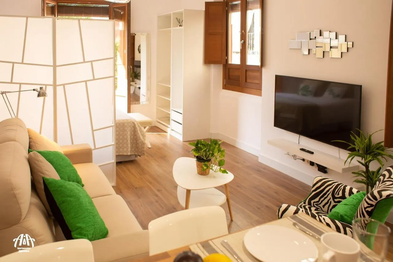 Appartement Aia Loft Bibrambla à Grenade