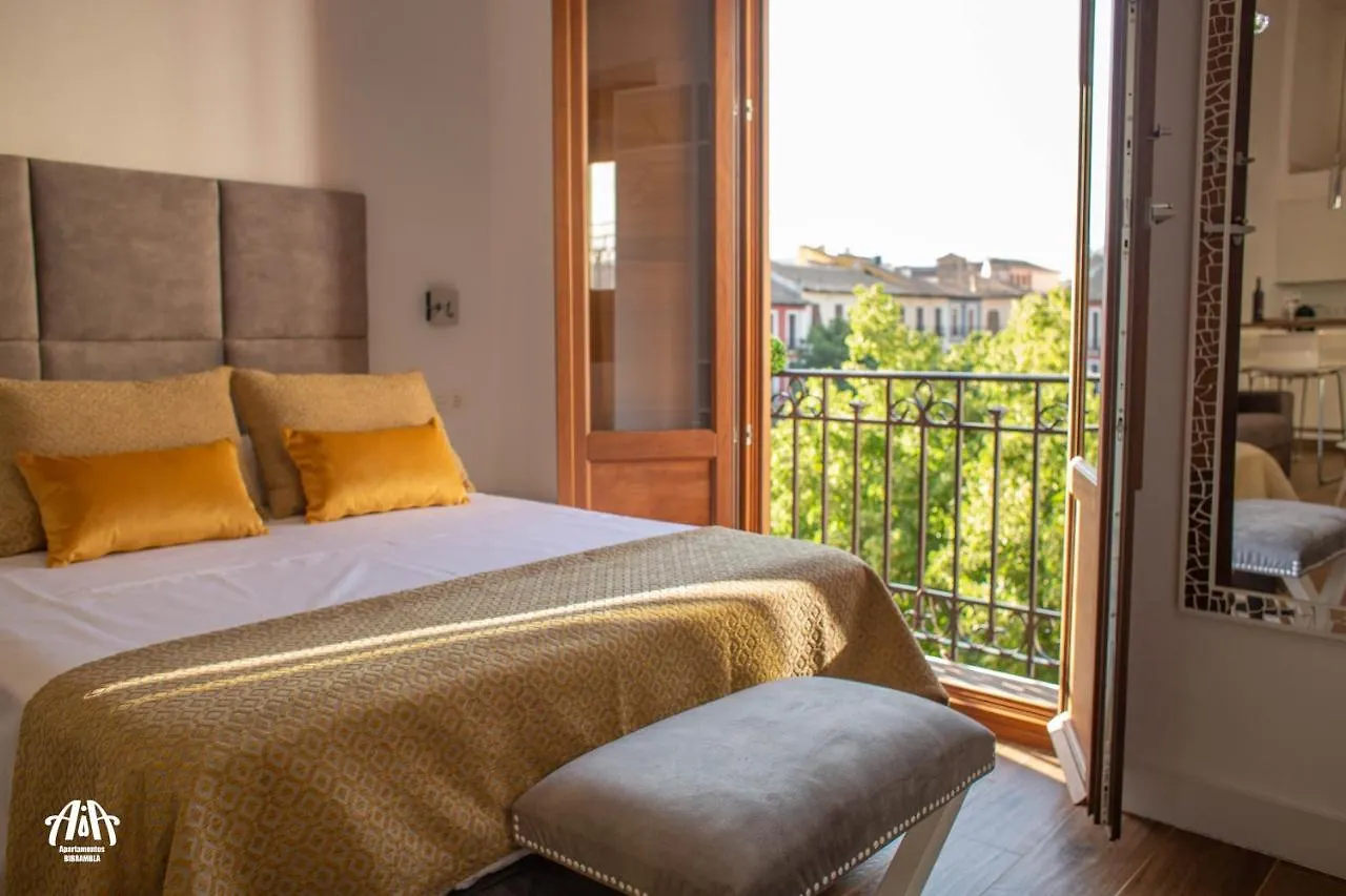 Aia Loft Bibrambla Apartman Granada
