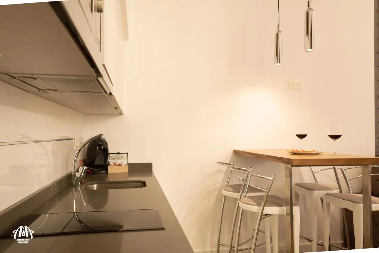 Aia Loft Bibrambla Apartman Granada