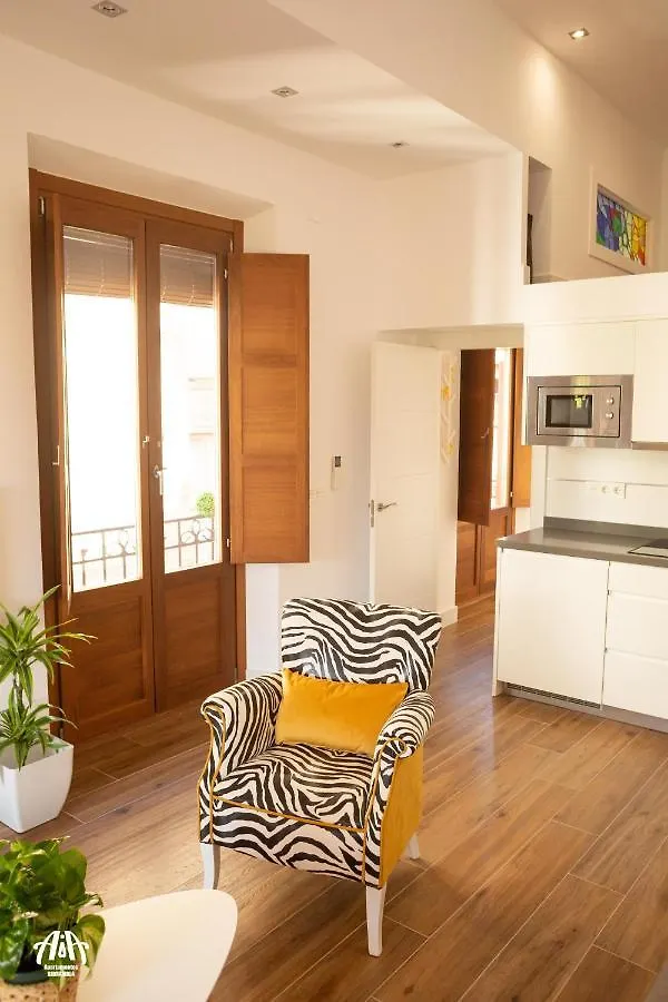 Aia Loft Bibrambla Apartman Granada