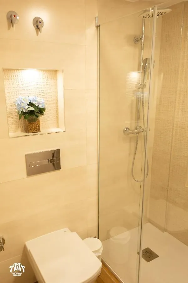 Aia Loft Bibrambla Apartman Granada
