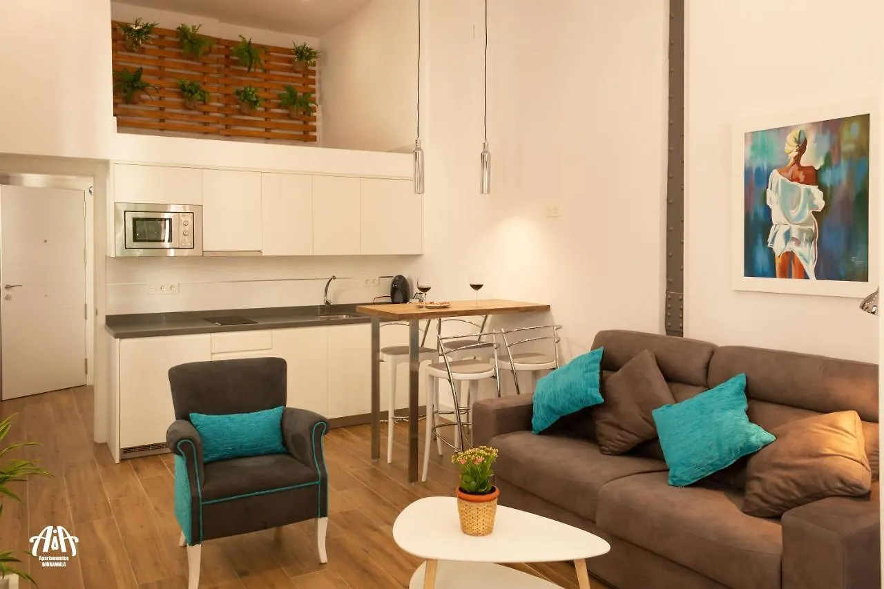 Aia Loft Bibrambla Apartman Granada
