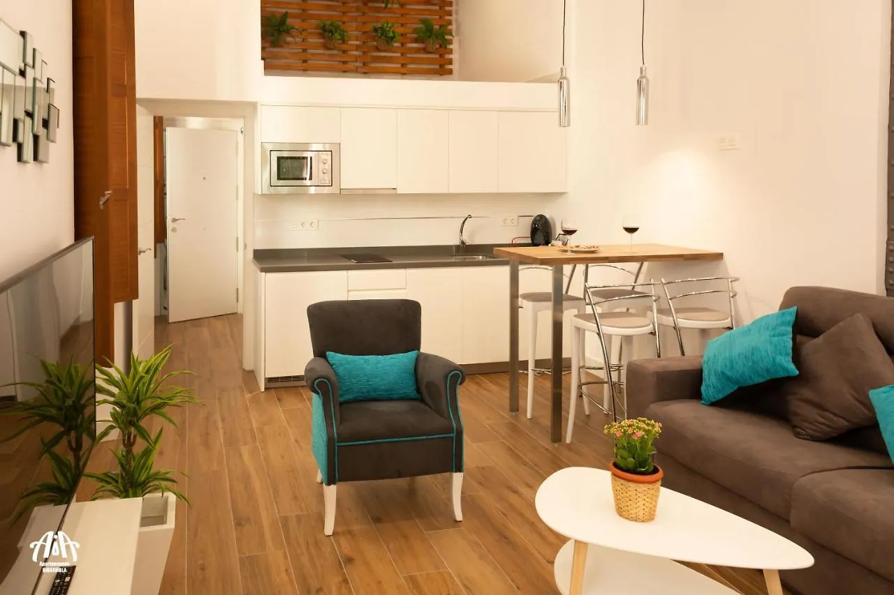 Aia Loft Bibrambla Apartman Granada