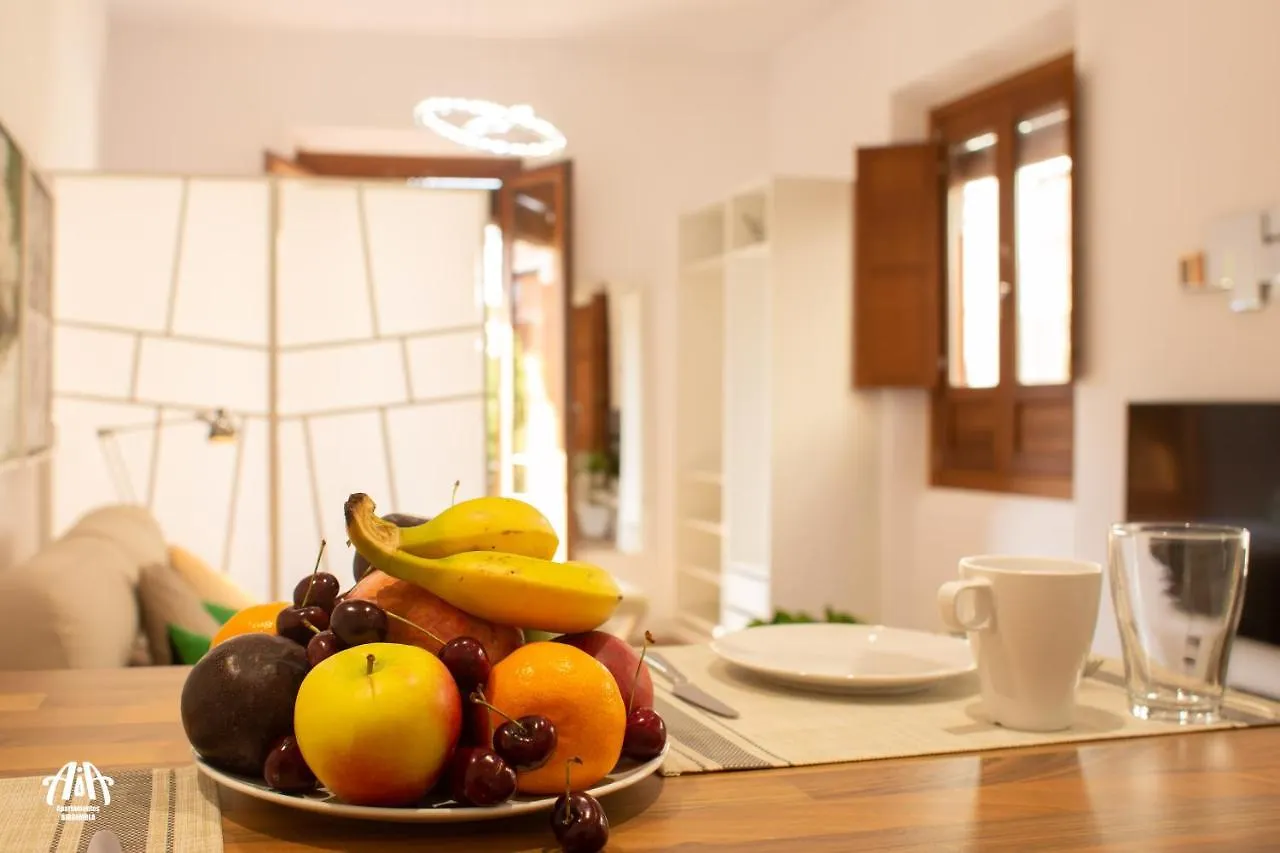 Aia Loft Bibrambla Apartman Granada 0*,
