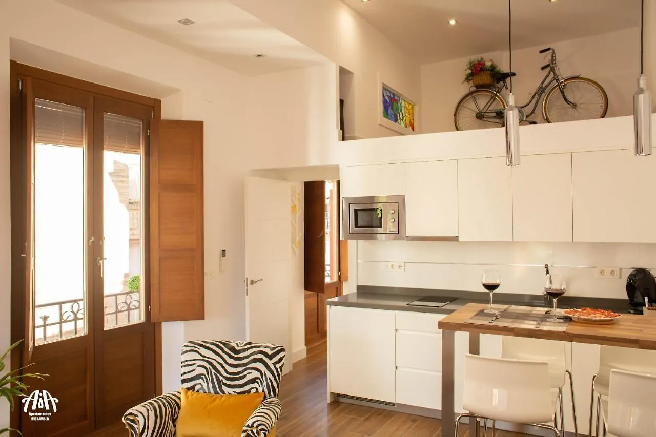 Aia Loft Bibrambla Apartman Granada