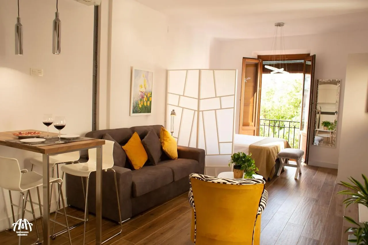 Aia Loft Bibrambla Apartman Granada