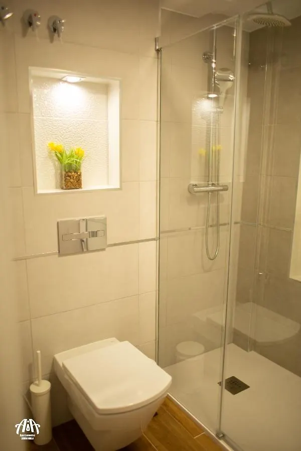 Aia Loft Bibrambla Apartman Granada