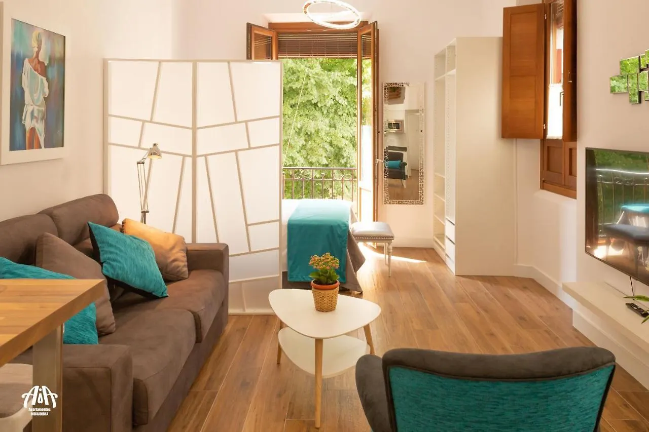 Aia Loft Bibrambla Apartman Granada