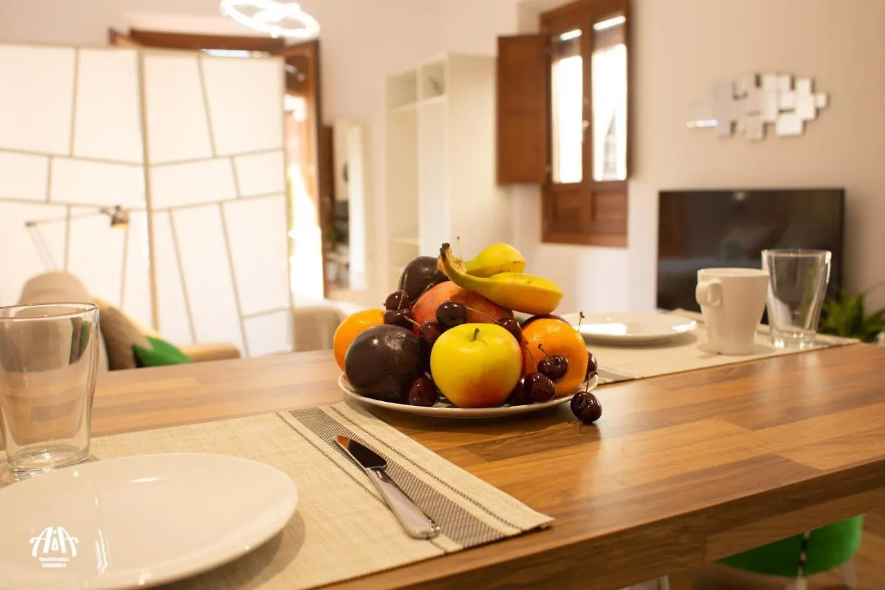 Aia Loft Bibrambla Apartman Granada