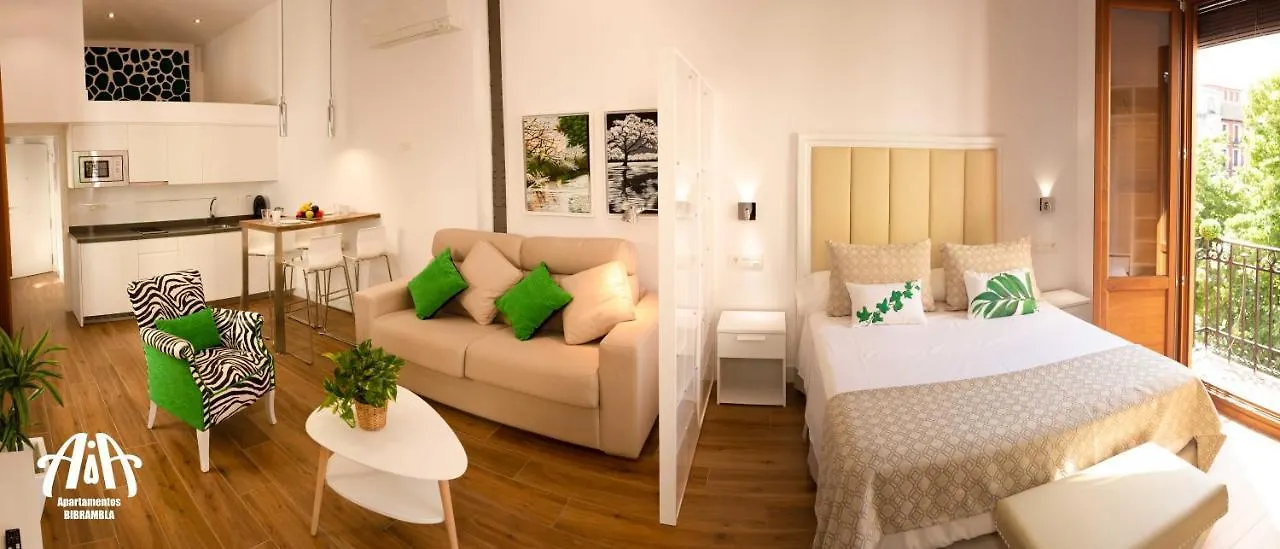 Aia Loft Bibrambla Apartman Granada 0*,